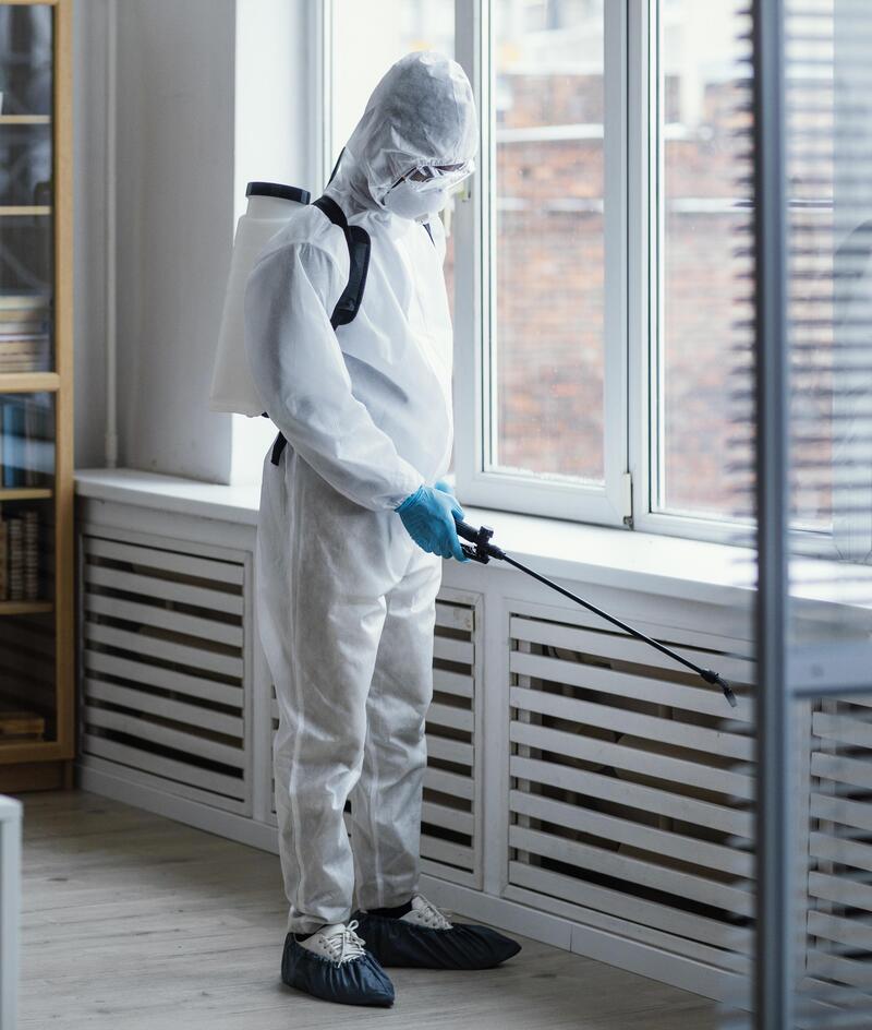 Best pest control services in Abu Dhabi