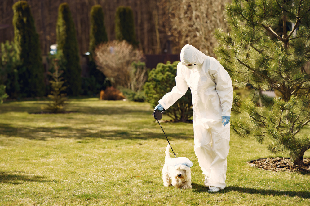 Efficient pest control services in Abu Dhabi